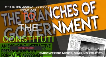 The Legislative Branch: Constitution's Vital Pillar