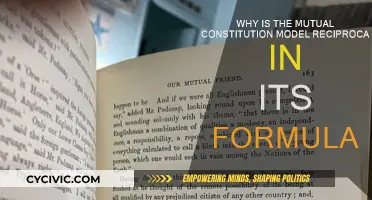 Mutual Constitution Model: Reciprocity in Action