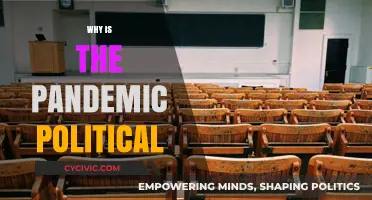 Pandemic Politics: How Health Crises Became Battlegrounds for Power