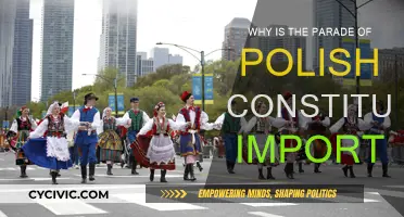 The Polish Constitution Parade: Why It Matters