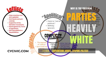 The Persistent Whiteness of Political Parties: Causes and Consequences