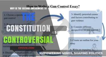 The Second Amendment: A Controversial Right