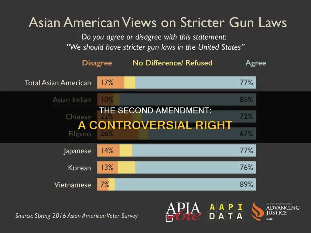 why is the second amendment to the constitution controversial