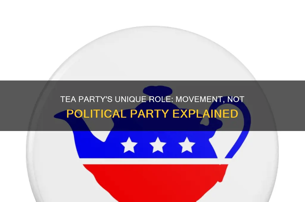 why is the tea party not a political party