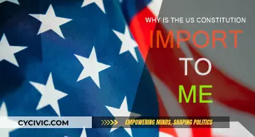 The Constitution: My Freedom and Rights' Guardian