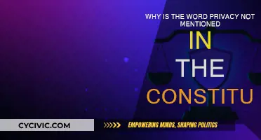 The Constitution's Privacy Omission: Why the Silence?