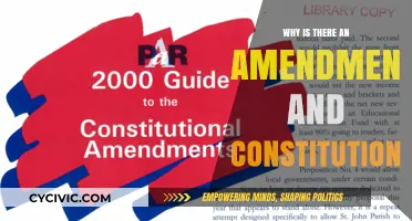 Amendments: The Evolution of Constitutional Rights