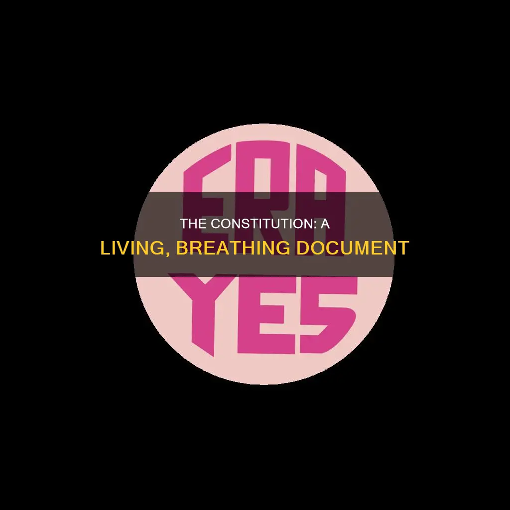 why is there no era in the constitution