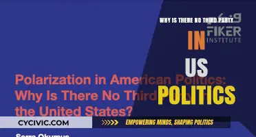 Why the US Political System Resists Third-Party Growth