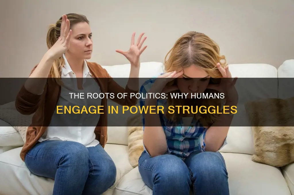 why is there politics