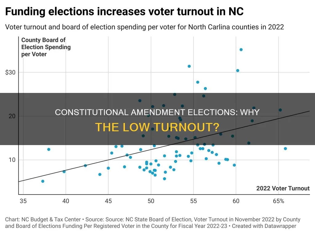 why is there such low participation in constitutional amendment elections