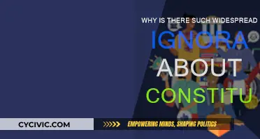 Understanding the Constitution: Ignorance or Inaccessibility?