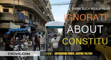 The Forgotten Constitution: Ignorance's Grip on Society