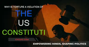 Torture: Unconstitutional Violation of Human Rights in the US