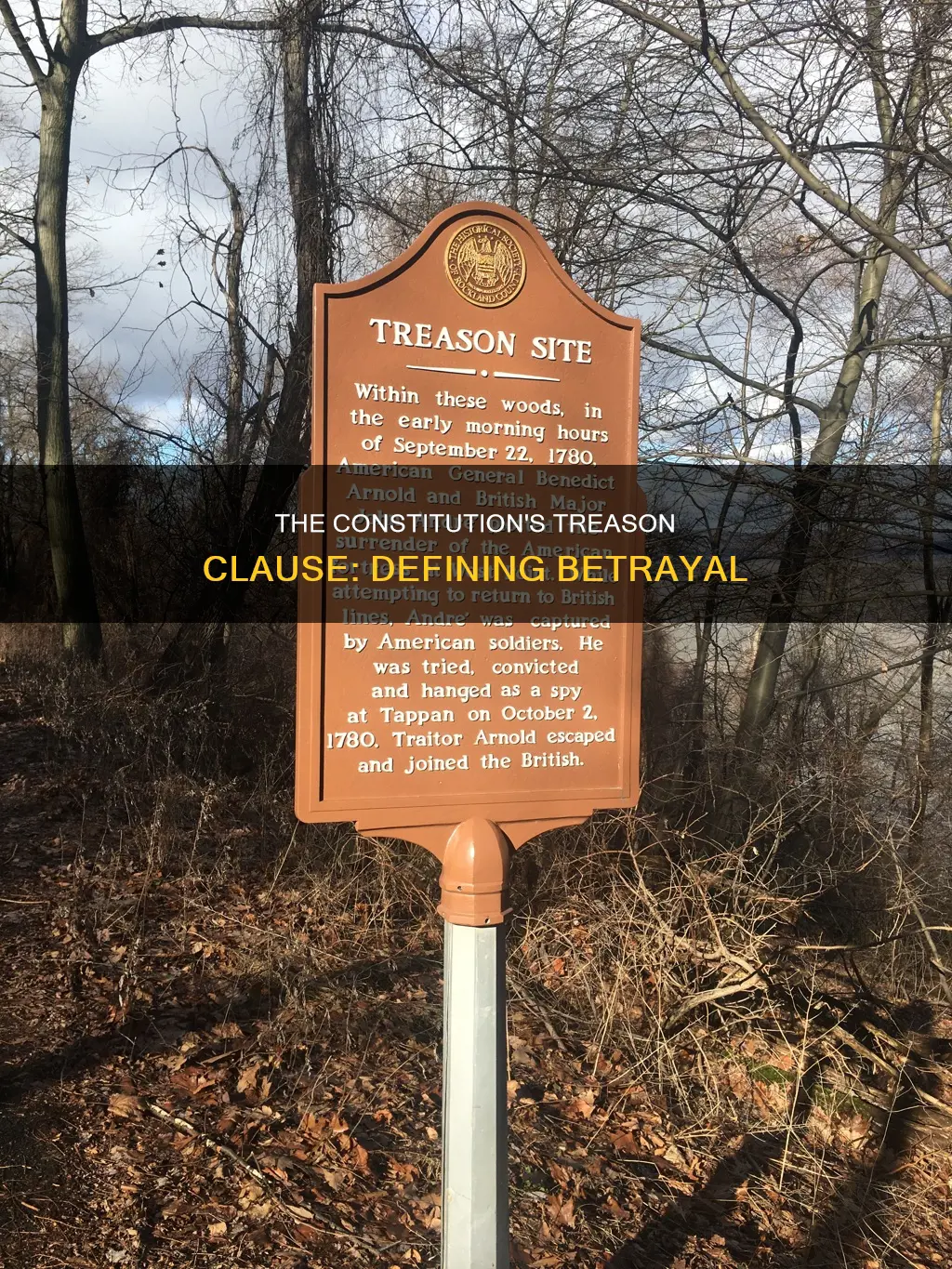 why is treason so clearly defined in the constitution