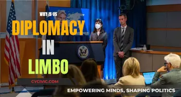 US Diplomacy: Stuck in Political Purgatory?