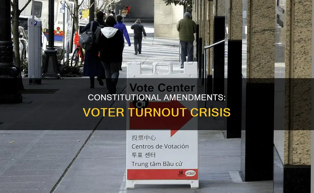 why is voter turnout low for constitutional amendment referendums