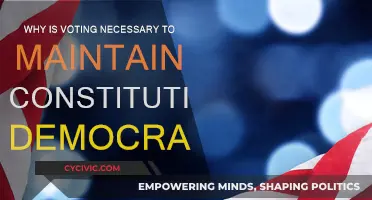 Voting: The Lifeblood of Constitutional Democracy