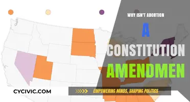 The Abortion Debate: A Constitutional Amendment?