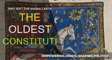 The Magna Carta: A Constitution or Not?