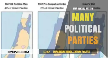 Israel's Political Mosaic: Understanding the Proliferation of Parties