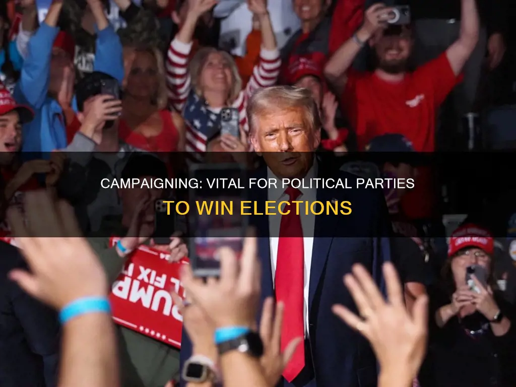 why it is important for political parties to campaign