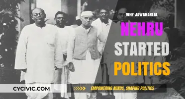 Jawaharlal Nehru's Political Awakening: A Journey into Indian Politics