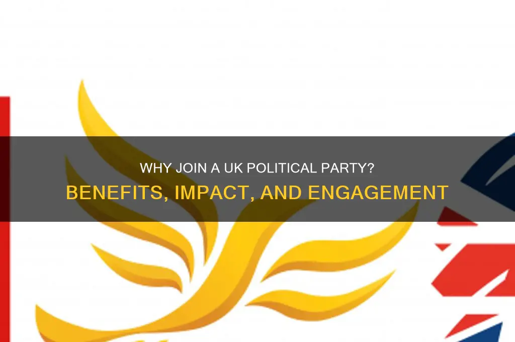 why join a political party uk