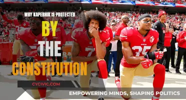 Kaepernick's Right to Protest: Protected by the Constitution