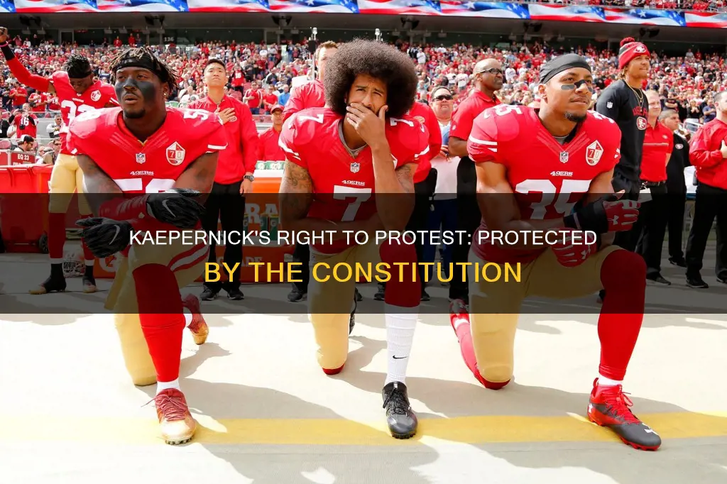 why kapernik is protected by the constitution