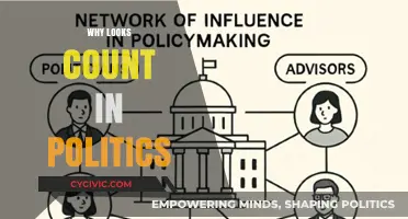 The Power of Appearance: How Looks Influence Political Success