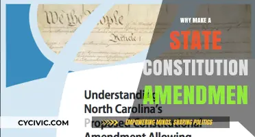 Amending State Constitutions: Why Bother?