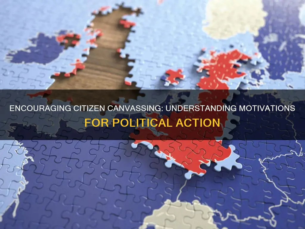 why might a citizen participate in canvassing activities