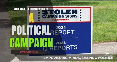 Campaign Volunteers: Why Citizens Join the Political Fray