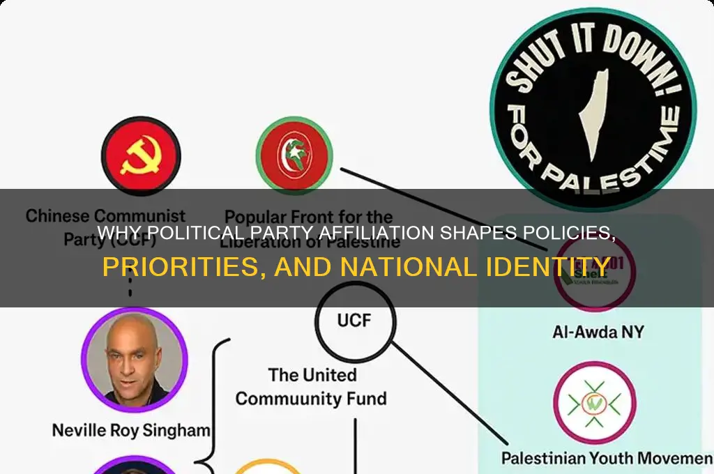 why might political party matter