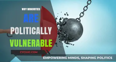 Political Vulnerability of Minorities: Causes, Consequences, and Pathways to Empowerment