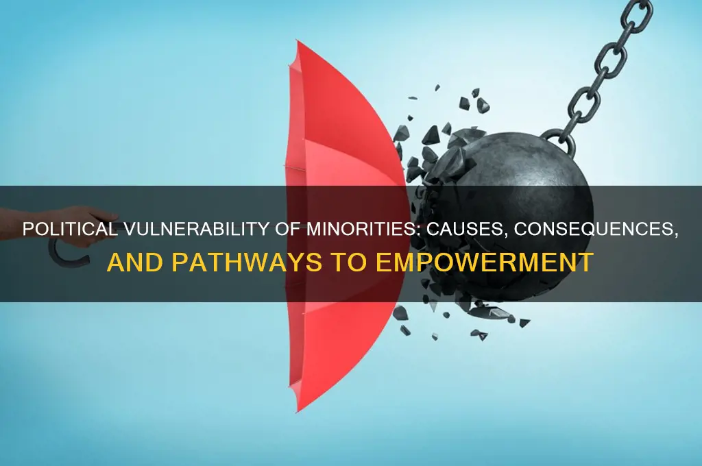 why minorities are politically vulnerable