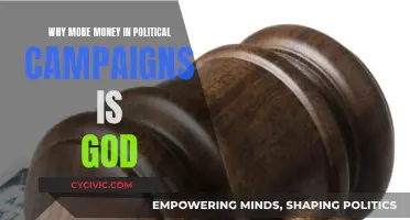 More Money, Better Campaigns: Political Funding's Upside