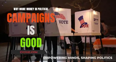 More Money, Better Campaigns: Benefits of Political Funding