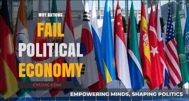 Why Nations Fail: Unraveling the Political Economy of Success and Collapse