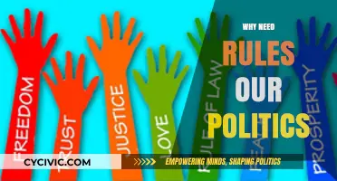 Why Rules Are Essential for Fair and Effective Political Governance