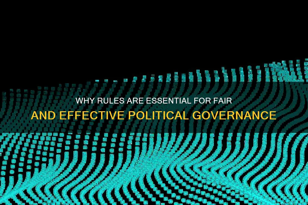 why need rules our politics
