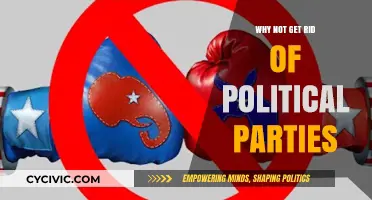 Beyond Partisanship: Why Abolishing Political Parties Could Strengthen Democracy