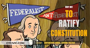 The Constitution: Ratification's Risks and Historical Harms
