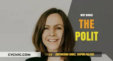 Nudging Politics: How Subtle Changes Can Shape Better Governance