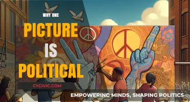 One Picture, Infinite Politics: Decoding Visual Power and Social Impact
