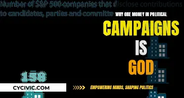 More Money in Campaigns: Democracy's Necessary Evil