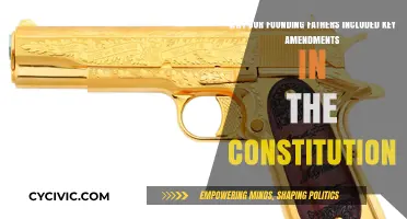 Founding Fathers: Why Amend the Constitution?