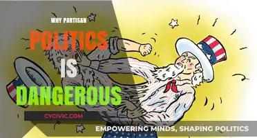 Partisan Politics: How Division Threatens Democracy and Social Stability