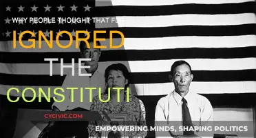 FDR's Controversial Constitution-Bending: Why the Criticism?